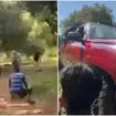 Michoacán bajo fuego: aguacateros quedan atrapados en medio de un enfrentamiento armado en Charapan Michoacán bajo fuego: aguacateros quedan atrapados en medio de un enfrentamiento armado en Charapan