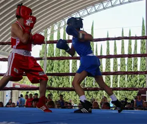 Torneo de Barrios de Box 2026 contin&uacute;a con funciones en Puebla capital