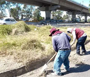 Gobierno de Puebla realiza mantenimiento en bajo puentes y distribuidores viales
