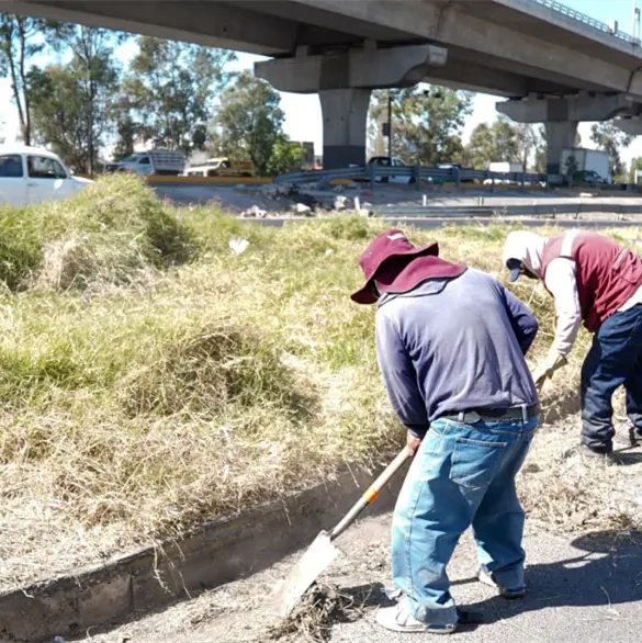 Gobierno de Puebla realiza mantenimiento en bajo puentes y distribuidores viales