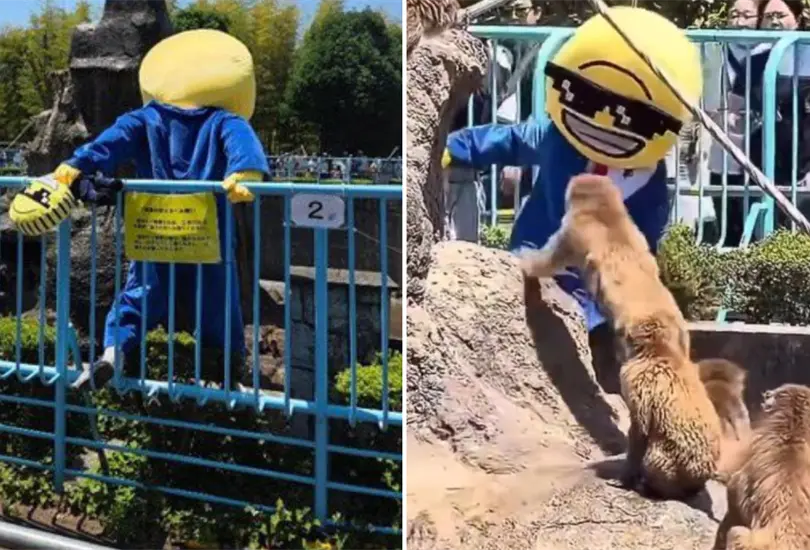 Intruso en zool&oacute;gico de Ichicawa