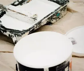 Esta es la mejor marca de pintura y la m&aacute;s barata, seg&uacute;n Profeco 