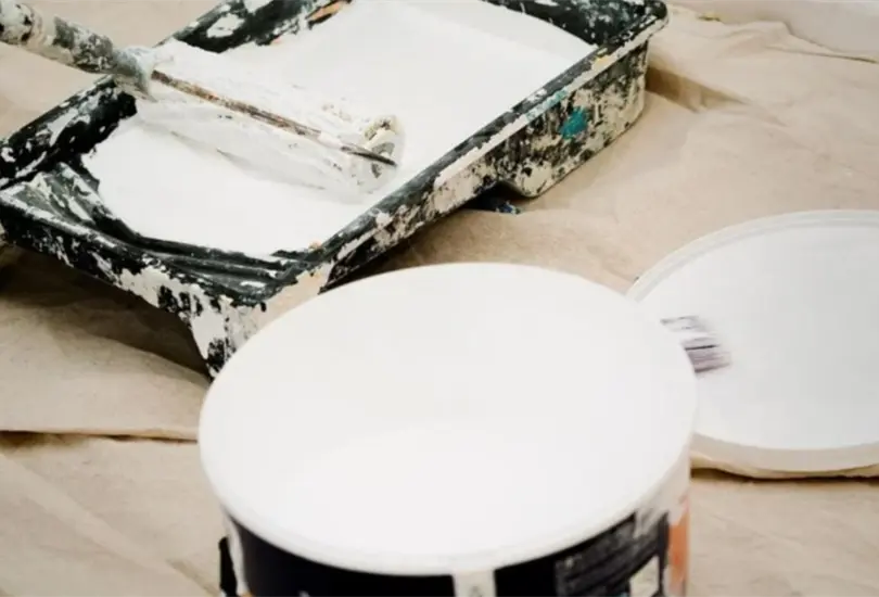 Estas son las mejores marcas de pintura, según la Profeco. Estas son las mejores marcas de pintura, según la Profeco.