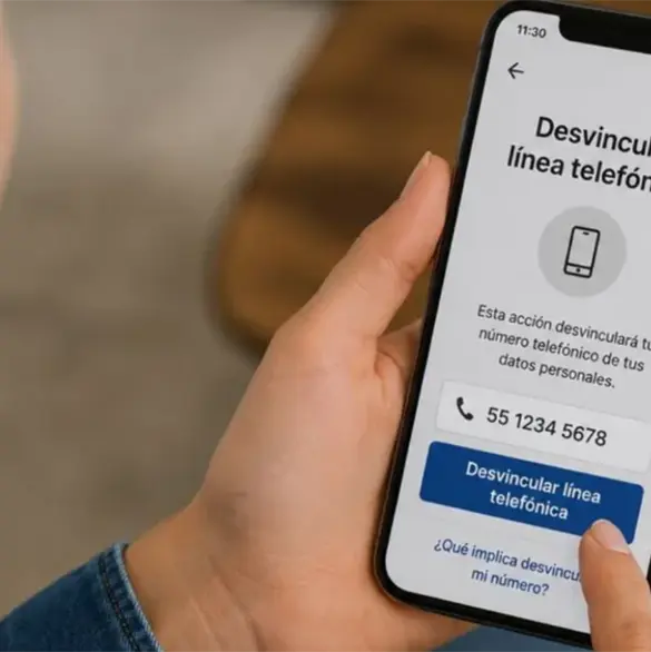 Registro obligatorio de celulares: &iquest;c&oacute;mo desvincular tu n&uacute;mero del Registro de Telefon&iacute;a M&oacute;vil?