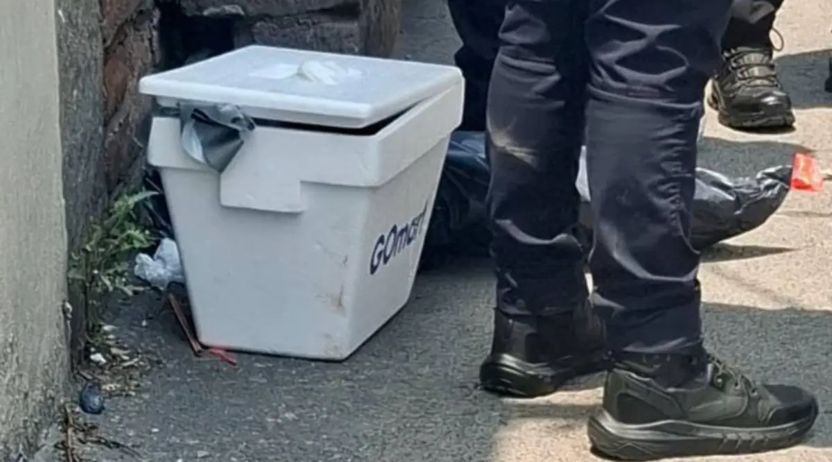  Vecinos de Santa María Tulpetlac alertaron a las autoridades tras encontrar una hielera con restos humanos. 