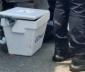 Abandonan hielera con restos humanos en Santa Mar&iacute;a Tulpetlac