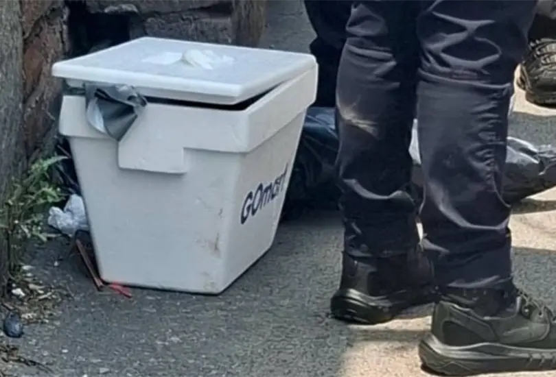 Vecinos de Santa María Tulpetlac alertaron a las autoridades tras encontrar una hielera con restos humanos. Vecinos de Santa María Tulpetlac alertaron a las autoridades tras encontrar una hielera con restos humanos.