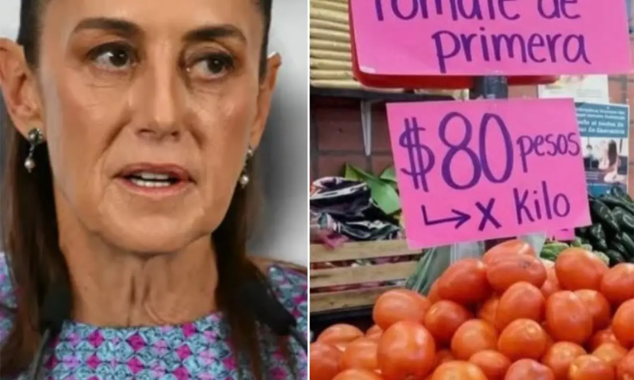  La mandataria explicó que una plaga registrada en Sinaloa redujo la disponibilidad del producto. 