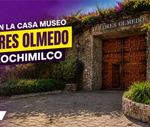 Museo Dolores Olmedo reabre sus puertas tras seis a&ntilde;os de cierre