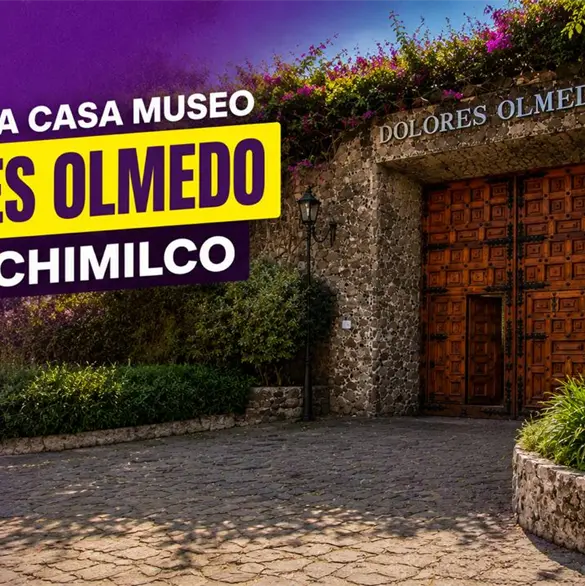 Museo Dolores Olmedo reabre sus puertas tras seis años de cierre Museo Dolores Olmedo reabre sus puertas tras seis años de cierre
