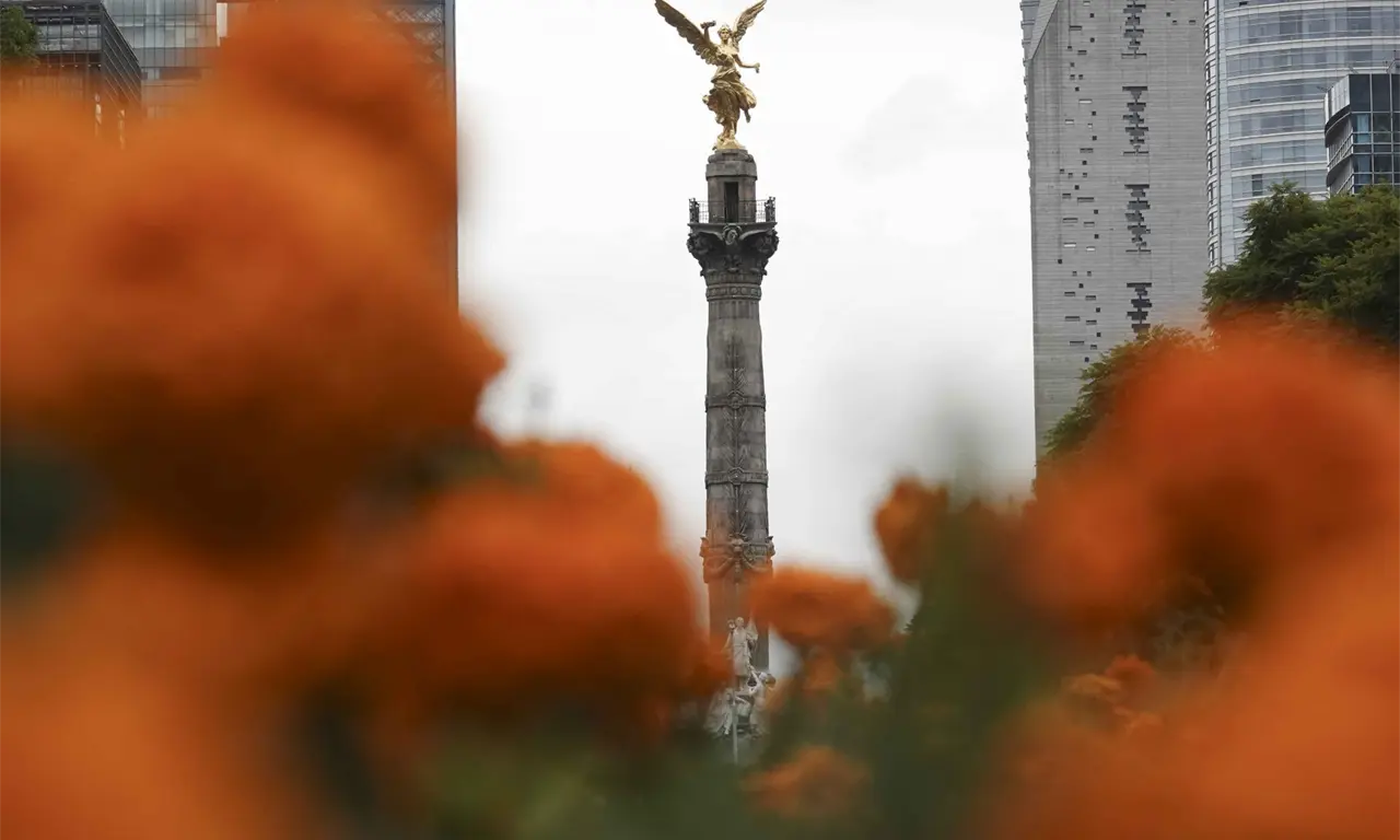  La flor, considerada uno de los símbolos más representativos de la cultura mexicana, suele estar asociada a las festividades de octubre y noviembre. 