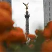 Mundial 2026: Miles de flores de cempas&uacute;chil vestir&aacute;n las calles de la CDMX