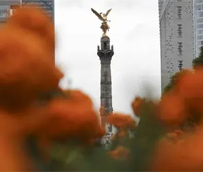 Mundial 2026: Miles de flores de cempasúchil vestirán las calles de la CDMX Mundial 2026: Miles de flores de cempasúchil vestirán las calles de la CDMX