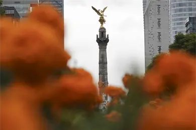 Mundial 2026: Miles de flores de cempas&uacute;chil vestir&aacute;n las calles de la CDMX