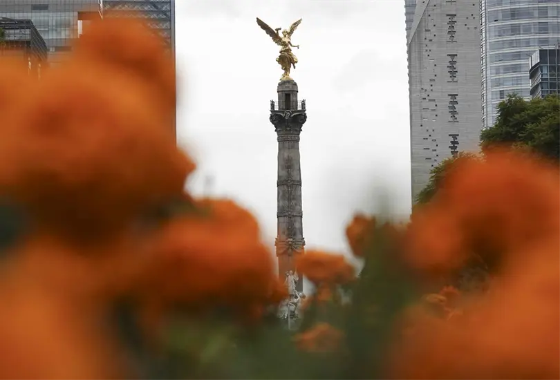 La flor, considerada uno de los s&iacute;mbolos m&aacute;s representativos de la cultura mexicana, suele estar asociada a las festividades de octubre y noviembre.