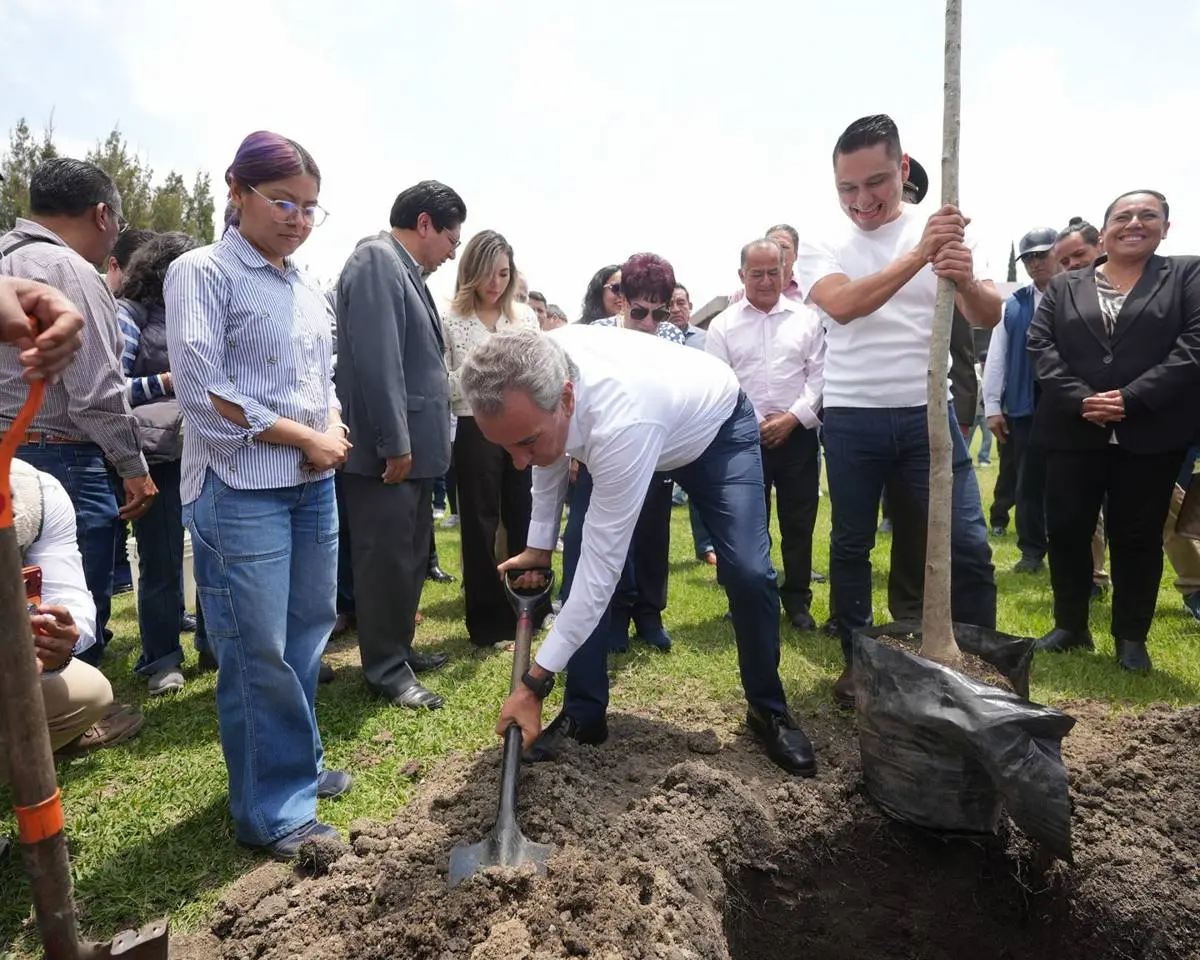 Gobierno de la Ciudad. 