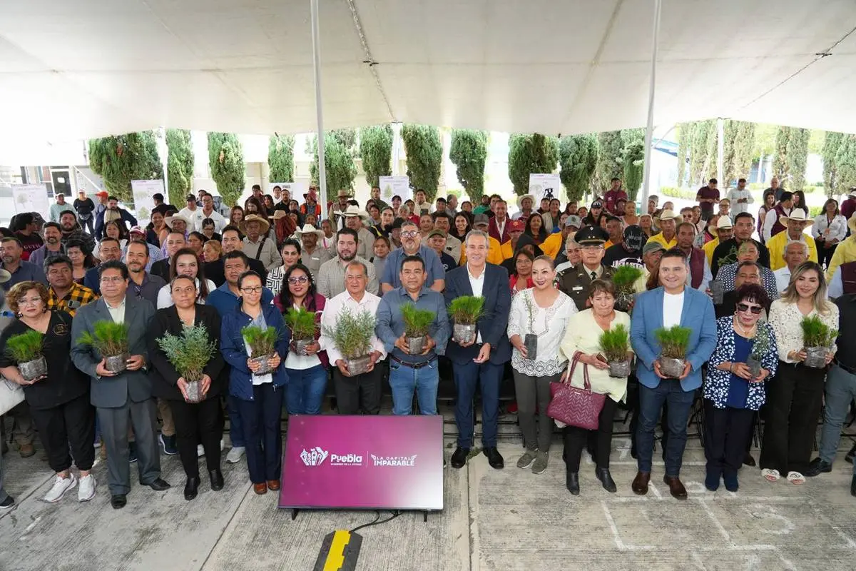 Gobierno de la Ciudad. 