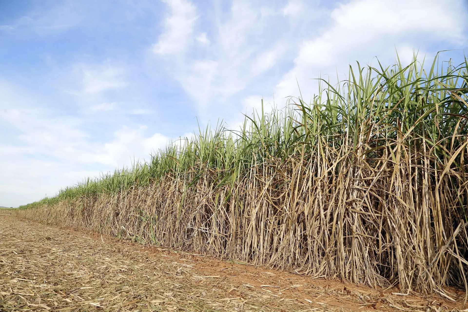Producción y explotación agrícola y ganadera — riesgo laboral: 33.0%