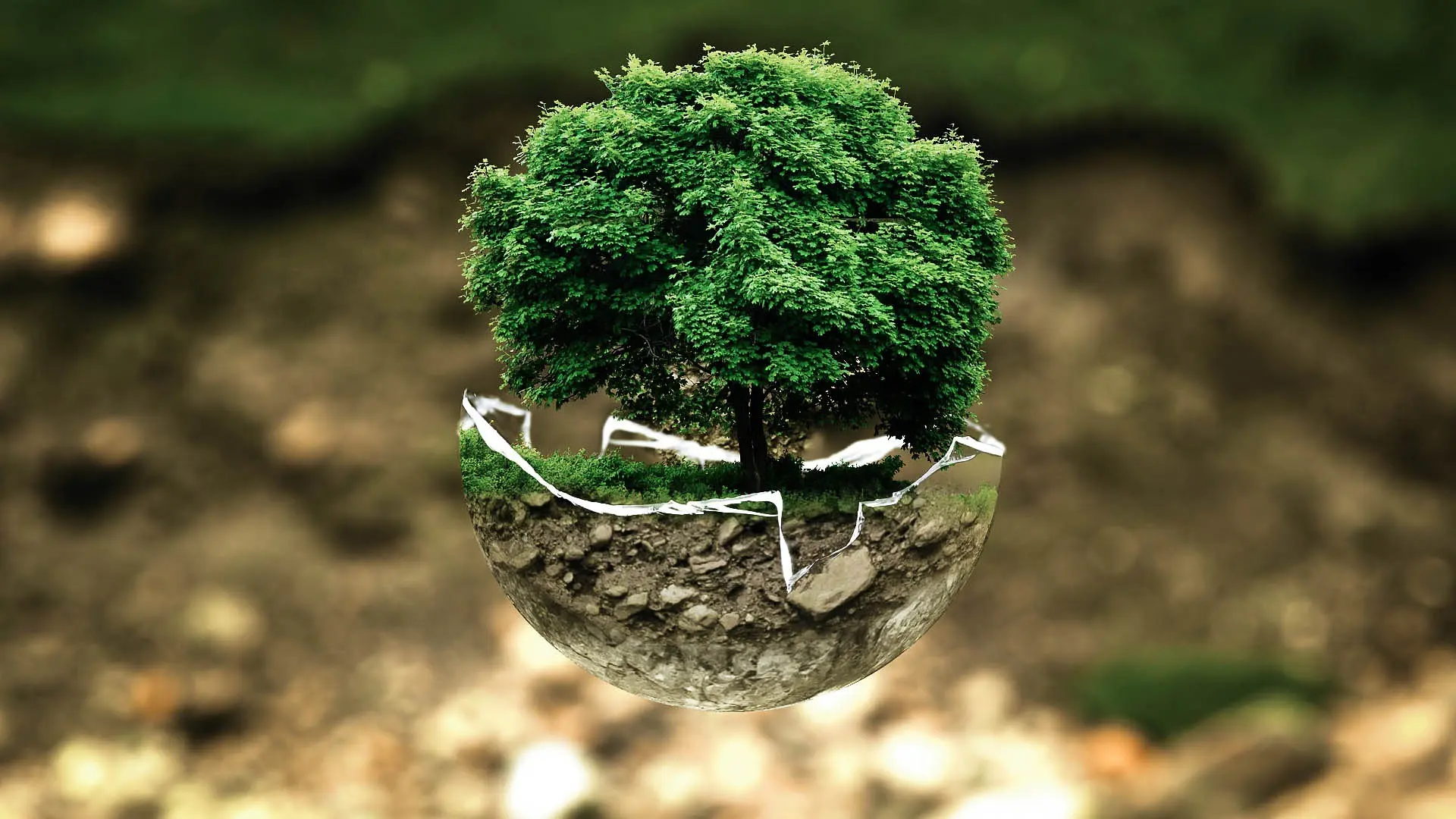 Esta carrera forma especialistas en prevención, control y solución de problemas ambientales mediante herramientas tecnológicas. Sus egresados pueden participar en proyectos de sustentabilidad, energías limpias y manejo de residuos, aunque el mercado laboral aún es relativamente reducido.