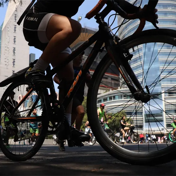 ¡A pedalear!: ¿Cuándo es el rally de museos en bicicleta de la CDMX? ¡A pedalear!: ¿Cuándo es el rally de museos en bicicleta de la CDMX?