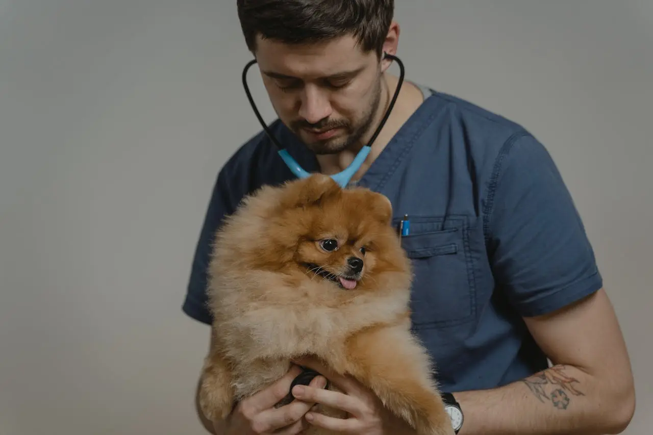 Veterinaria — riesgo laboral: 31.9%