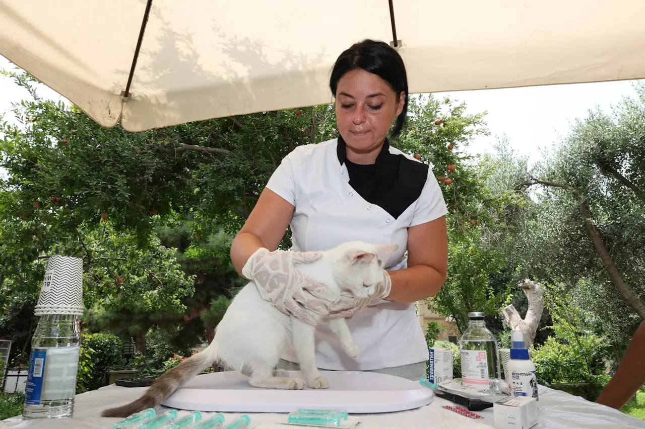 La carrera de Veterinaria se dedica al cuidado de la salud animal, producción pecuaria e investigación. Aunque existe una demanda constante de servicios veterinarios, muchos profesionales optan por ejercer de manera independiente, lo que puede generar periodos de inestabilidad económica.