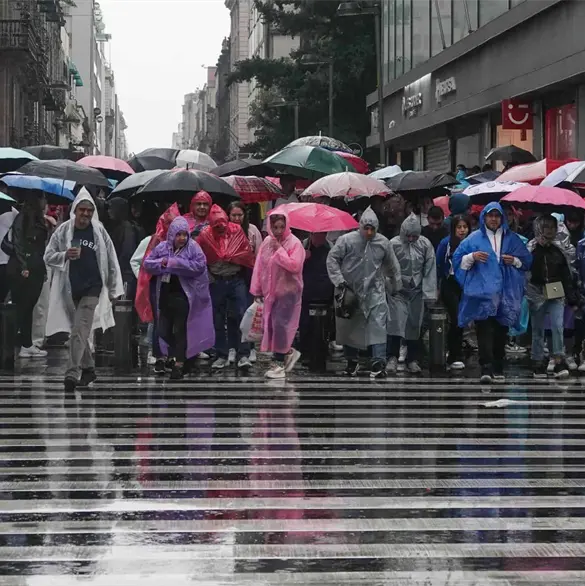 Lista de estados donde habrá lluvias torrenciales hoy 8 de junio por la tormenta tropical Boris Lista de estados donde habrá lluvias torrenciales hoy 8 de junio por la tormenta tropical Boris