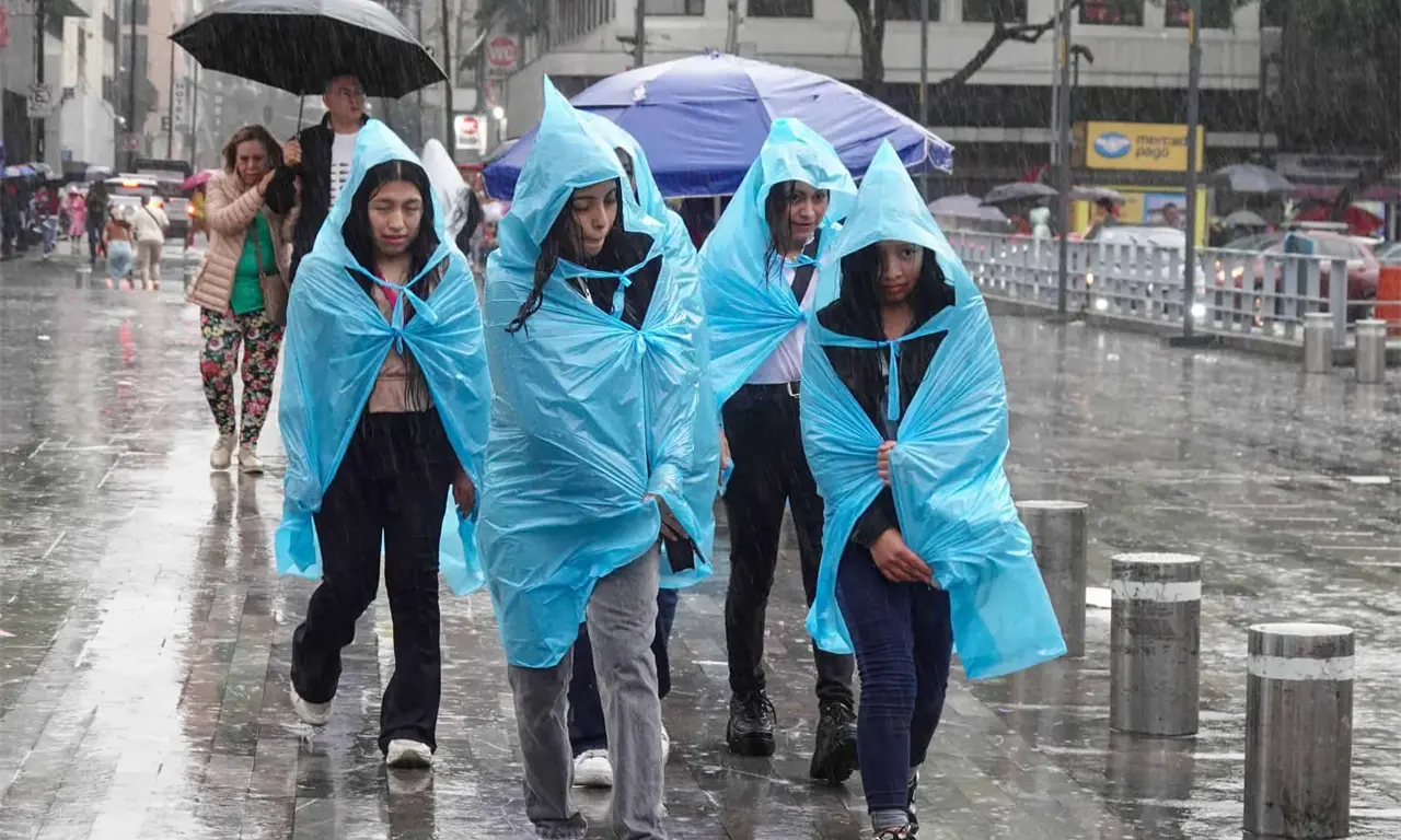  Encharcamientos, tráfico, caída de árboles y tormentas eléctricas han marcado las últimas semanas.
 