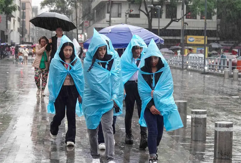 Encharcamientos, tráfico, caída de árboles y tormentas eléctricas han marcado las últimas semanas. Encharcamientos, tráfico, caída de árboles y tormentas eléctricas han marcado las últimas semanas.