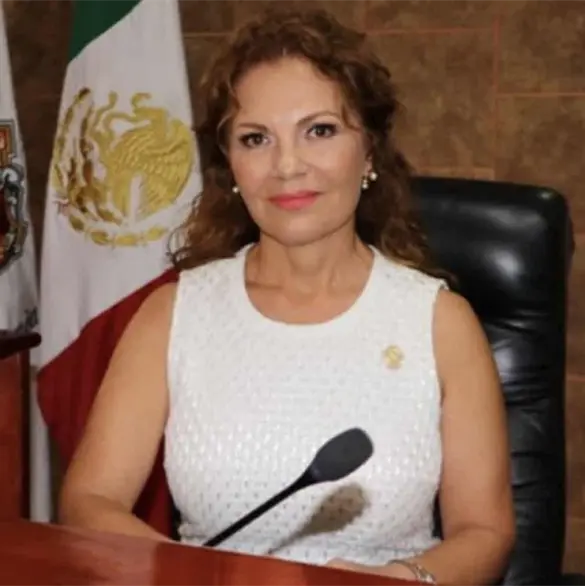 Comando armado secuestra al hijo de Roc&iacute;o L&oacute;pez, diputada de Morena en Baja California