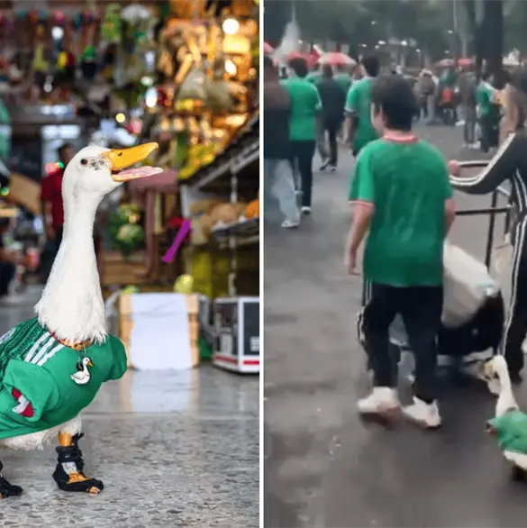 La FIFA busca a due&ntilde;os del pato Merl&iacute;n, famoso por usar la playera de M&eacute;xico