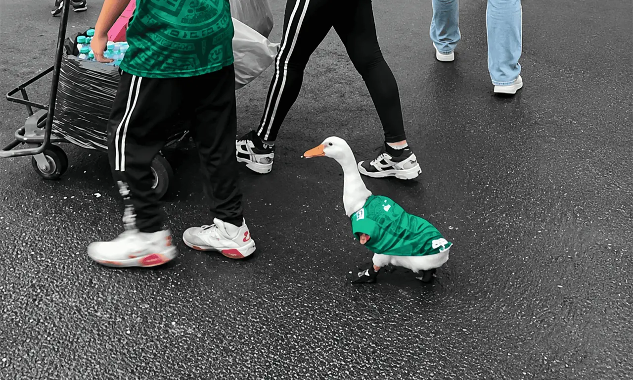  FIFA puso los ojos en él: quién está detrás del popular pato Merlín. 