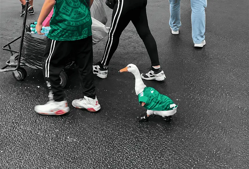 FIFA puso los ojos en &eacute;l: qui&eacute;n est&aacute; detr&aacute;s del popular pato Merl&iacute;n.