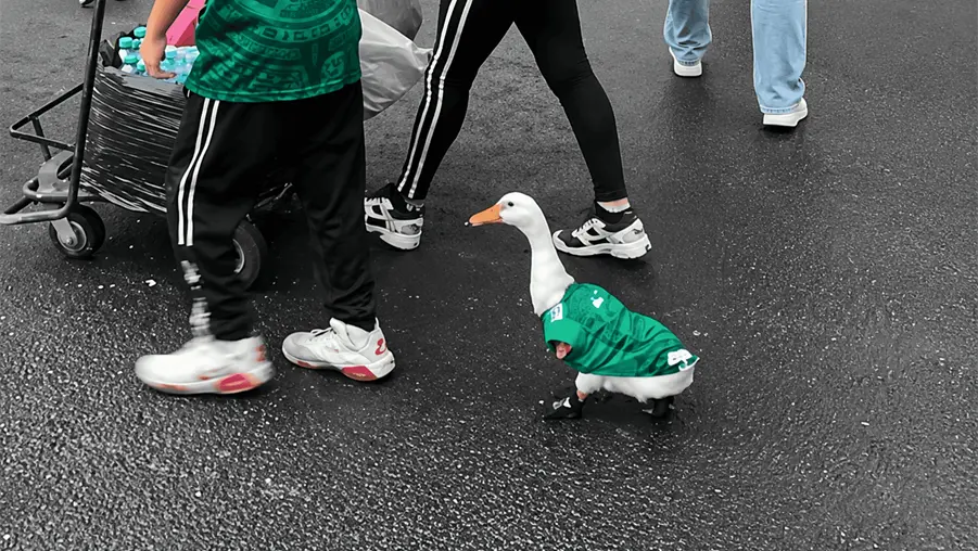 &iquest;Qui&eacute;nes son los due&ntilde;os del pato Merl&iacute;n y por qu&eacute; se hizo popular en todo el mundo?