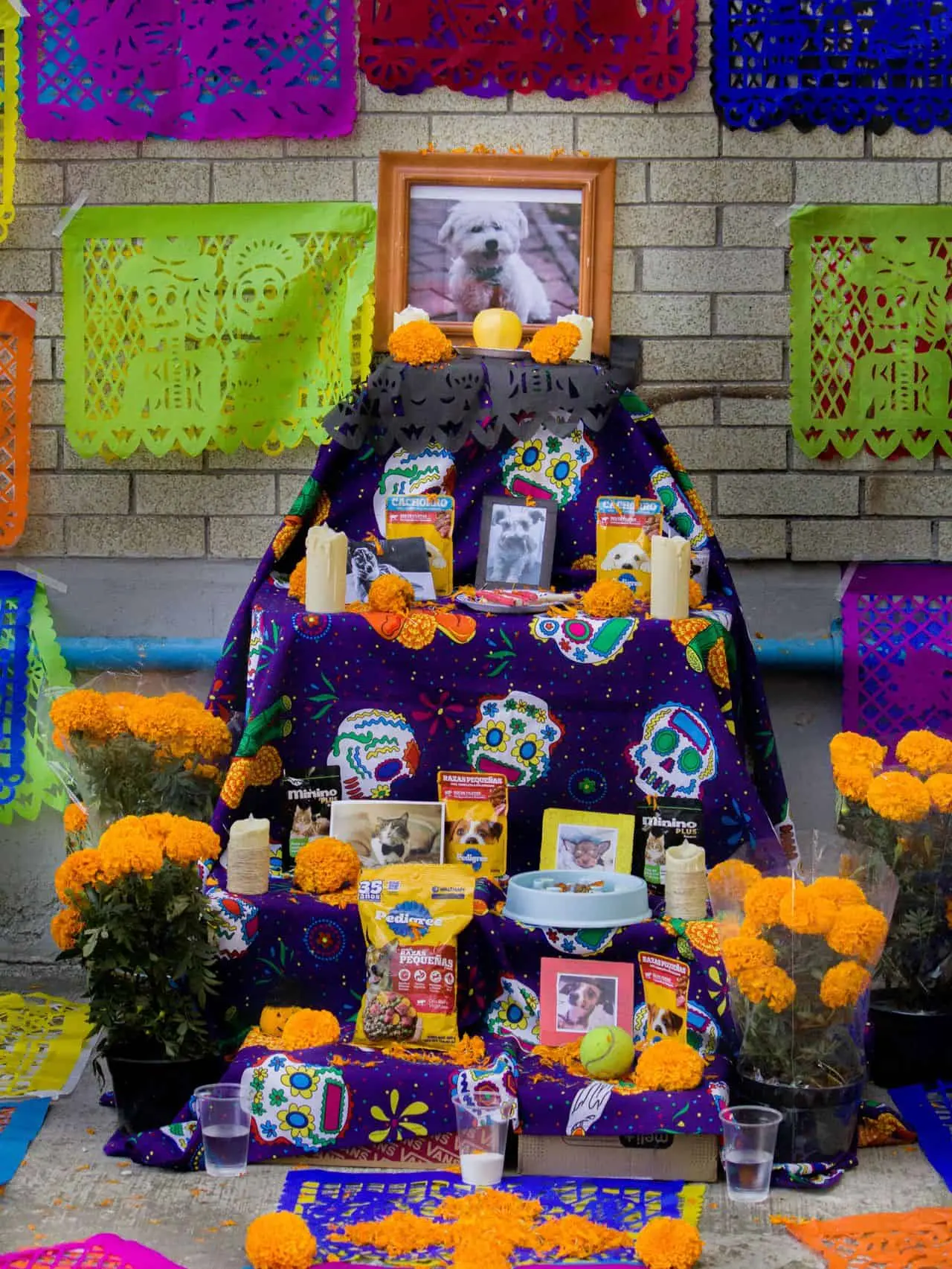 Durante el Día de Muertos, muchas familias colocan altares con alimentos, bebidas y objetos favoritos de sus seres queridos fallecidos. Aunque es algo extraño en otros países, también es una de las tradiciones que más despierta interés en los extranjeros.<br>
