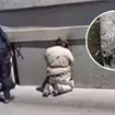 Hallan a mujer desaparecida dentro de una estructura de concreto en Tijuana Hallan a mujer desaparecida dentro de una estructura de concreto en Tijuana