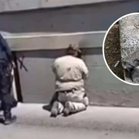 Hallan a mujer desaparecida dentro de una estructura de concreto en Tijuana