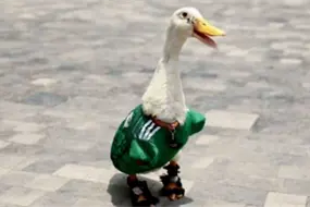 FIFA convierte al pato Merl&iacute;n en embajador oficial del Mundial 2026; usuarios exigen regal&iacute;as para su familia