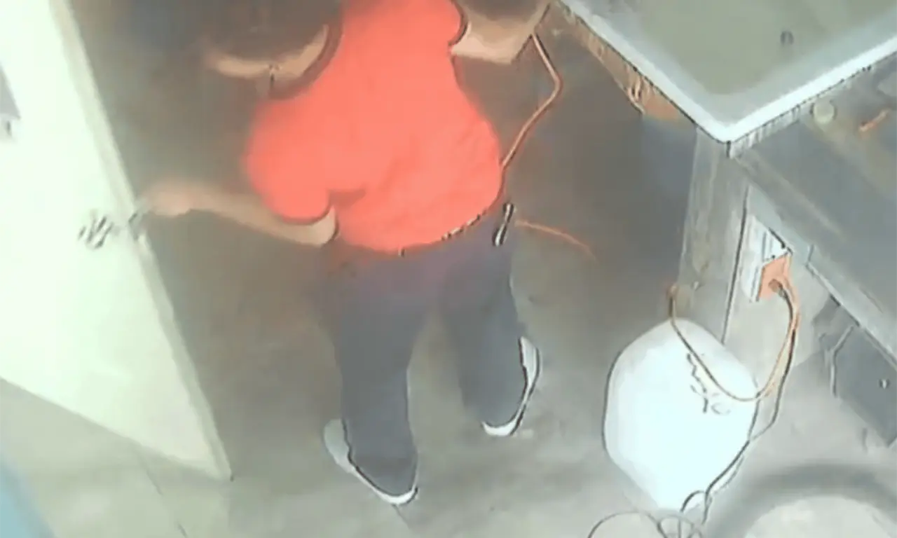  El perro fue llevado para recibir un servicio de baño y arreglo estético, pero nunca regresó con vida a casa. 