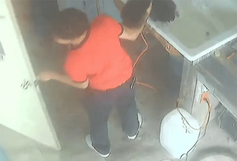El perro fue llevado para recibir un servicio de baño y arreglo estético, pero nunca regresó con vida a casa. El perro fue llevado para recibir un servicio de baño y arreglo estético, pero nunca regresó con vida a casa.