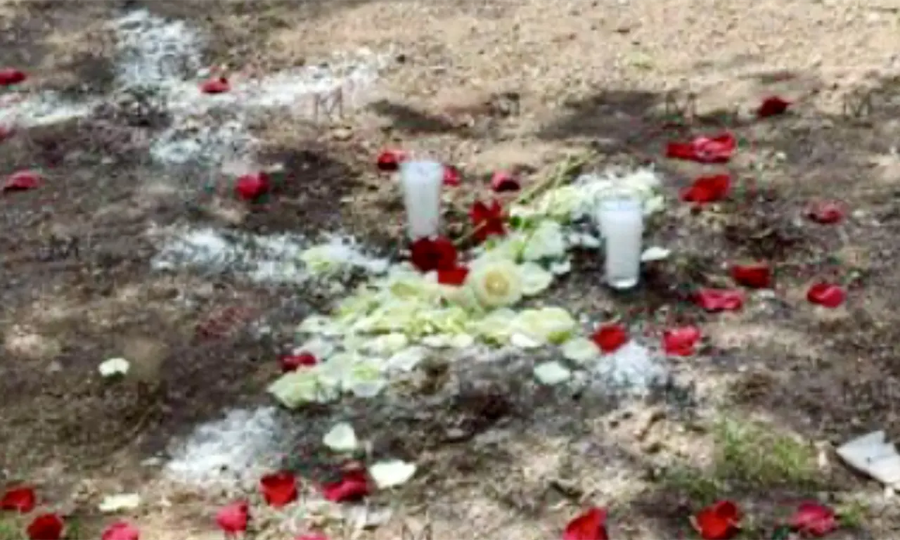  ¿Qué pasó en Salamanca? Ataque armado en San Juan de Razos deja cinco muertos 