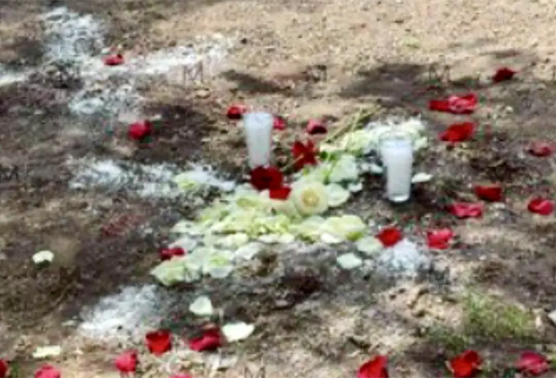 ¿Qué pasó en Salamanca? Ataque armado en San Juan de Razos deja ocho muertos ¿Qué pasó en Salamanca? Ataque armado en San Juan de Razos deja ocho muertos