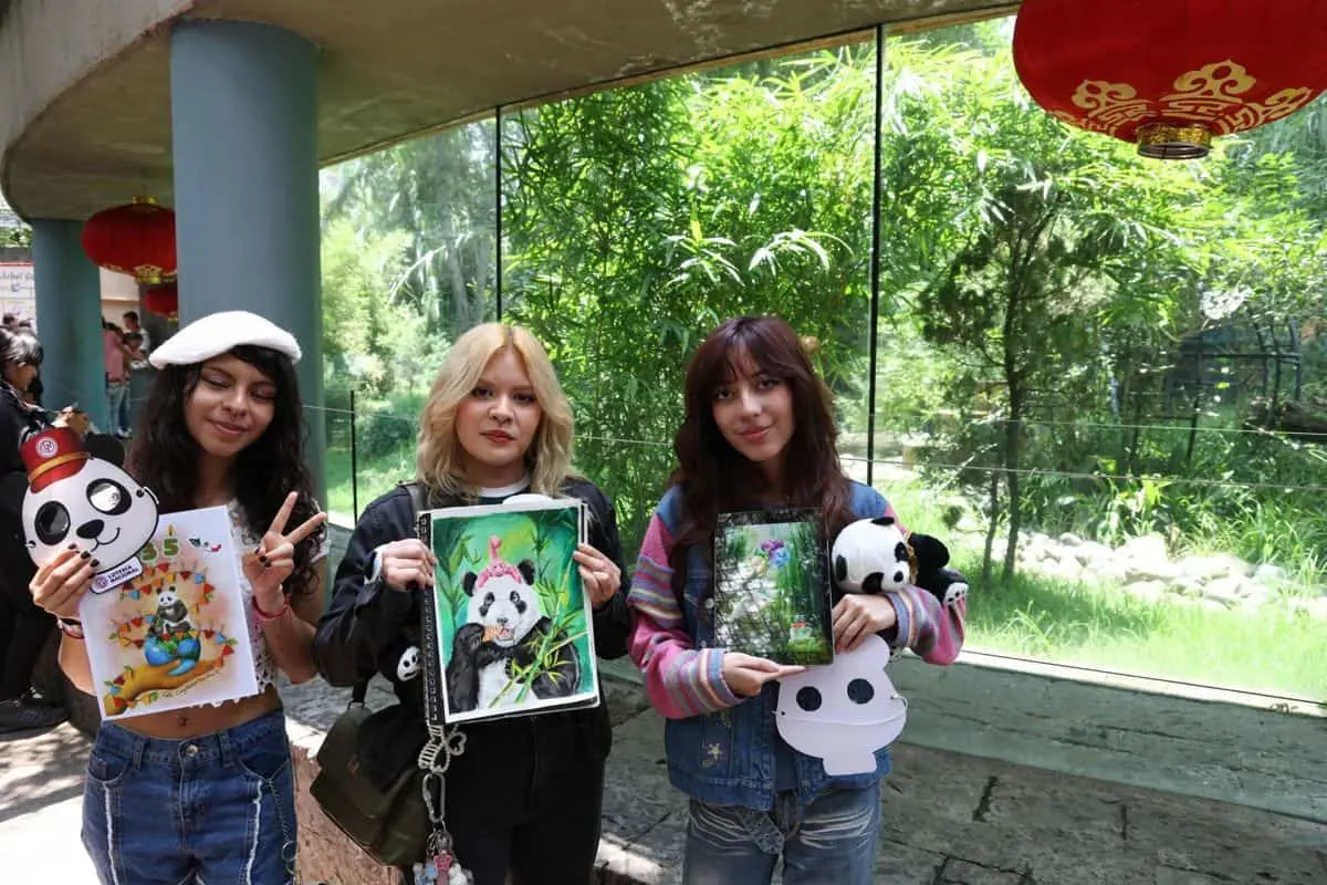 Su historia representa uno de los capítulos más importantes de los programas de conservación y reproducción de pandas gigantes desarrollados en el país durante décadas. Cuartoscuro.