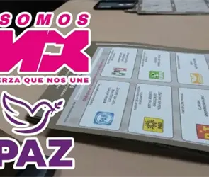 M&eacute;xico tiene nuevos partidos pol&iacute;ticos: &iquest;cu&aacute;les son Somos M&eacute;xico y Paz?
