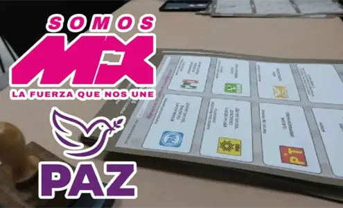 M&eacute;xico tiene nuevos partidos pol&iacute;ticos: &iquest;cu&aacute;les son Somos M&eacute;xico y Paz?