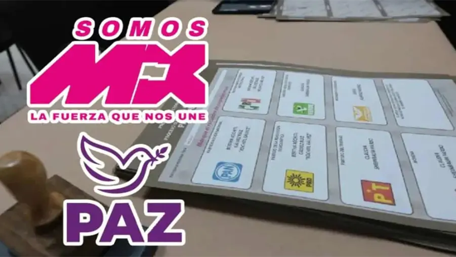 M&eacute;xico tiene nuevos partidos pol&iacute;ticos: &iquest;cu&aacute;les son Somos M&eacute;xico y Paz?