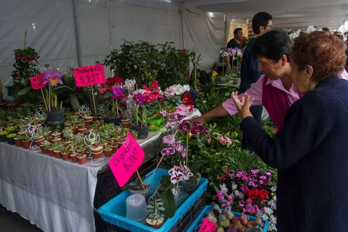 La Feria de las Flores tiene sus antecedentes en el siglo XIX y fue institucionalizada en 1857, cuando se autorizó la realización de un encuentro dedicado a la venta de flores, plantas, alimentos y productos tradicionales. Cuartoscuro.