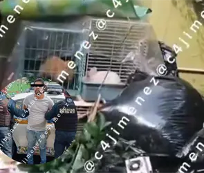 &iquest;Qu&eacute; pas&oacute; con Gaeli? Revelan video del patio donde hallaron sus restos en una hielera