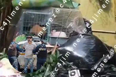 ¿Qué pasó con Gaeli? Revelan video del patio donde hallaron sus restos en una hielera ¿Qué pasó con Gaeli? Revelan video del patio donde hallaron sus restos en una hielera