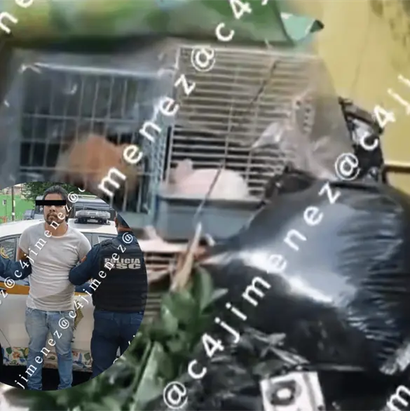 &iquest;Qu&eacute; pas&oacute; con Gaeli? Revelan video del patio donde hallaron sus restos en una hielera